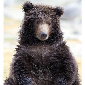 Meet your Posher, Liz